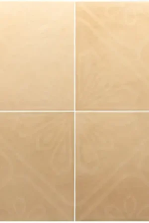 Seulement Aujourd'hui Carrelage MIRA DECOR NATURAL 20x20 cm effet terre cuite
